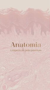 anatomia